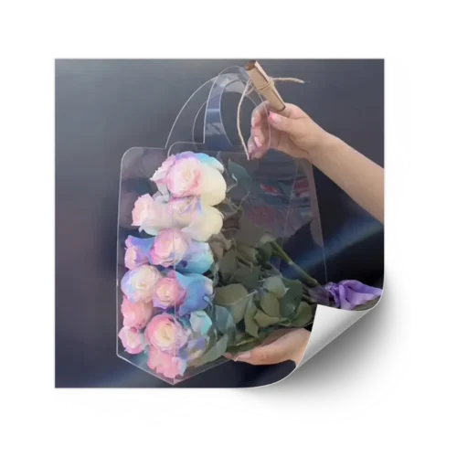 No lo sé (494) Maletin de Acetato 31x12x37 cm