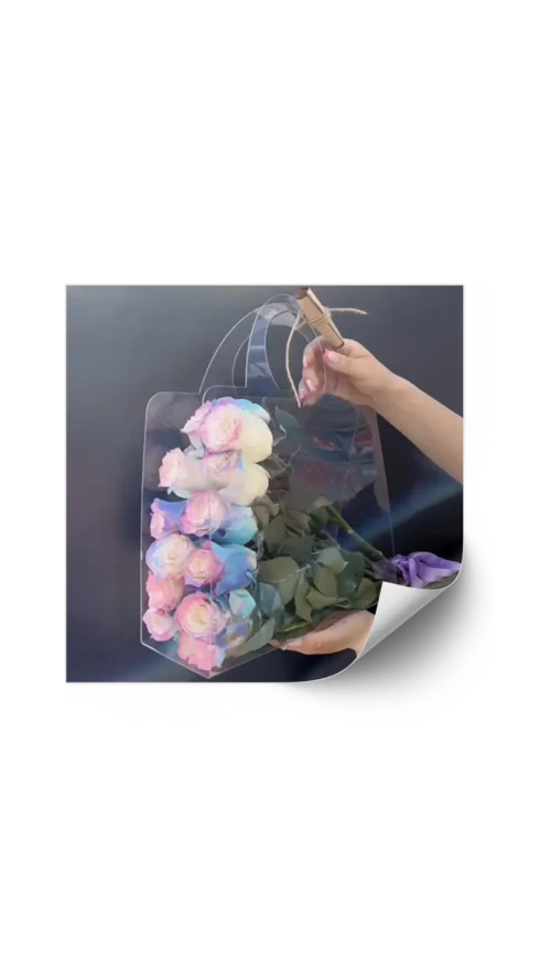 No lo sé (494) Maletin de Acetato 31x12x37 cm