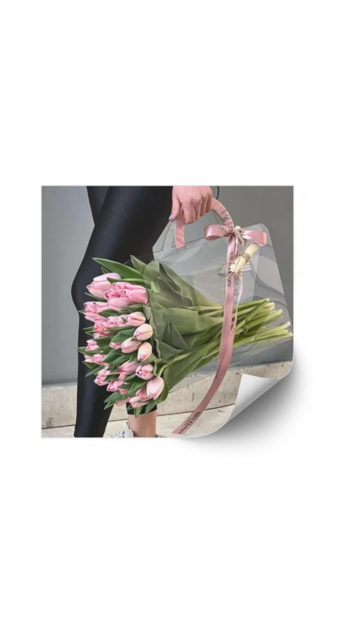 No lo sé (495) Maletin de Acetato 31x12x37 cm