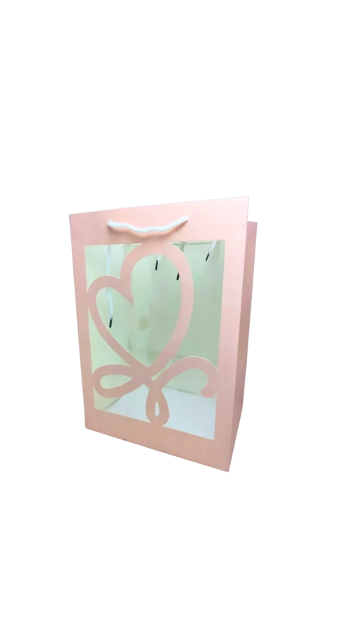 No lo sé (481) Bolsa Acetato Troquelada Paquete x 12