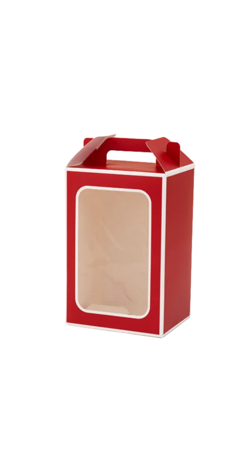 No lo sé (488) Caja De Acetato Paquete x 12 Surtido