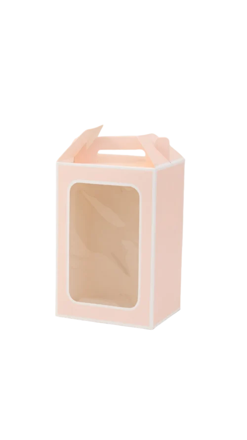 No lo sé (489) Caja De Acetato Paquete x 12 Surtido