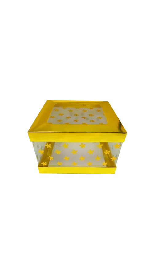 watashi (13) Caja De Acetato Estampada