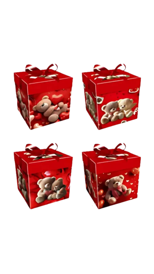 Cajas de Regalo. Paquete x 12 Surtido